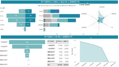 阿里天池 母嬰用品電商數據分析 power bi 可視化